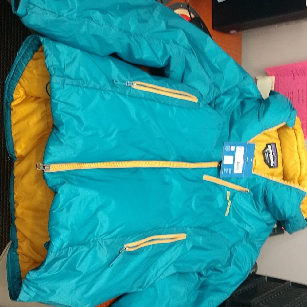 Patagonia das parka jacket color is aqua